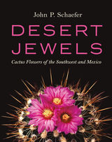 front cover of Desert Jewels