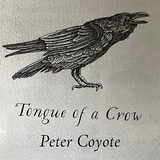 front cover of Tongue of a Crow