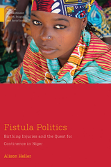 front cover of Fistula Politics