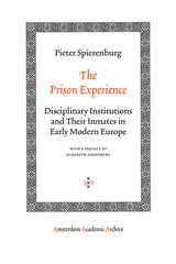 front cover of The Prison Experience
